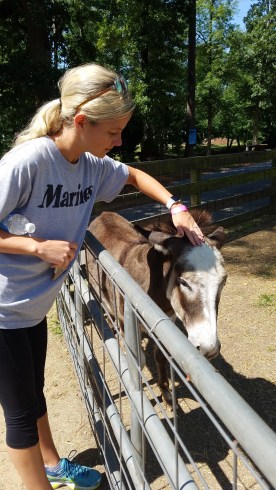 IMG_20170614_103236_242