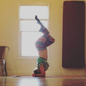 23376516_10209990703663604_5616766906966461439_n